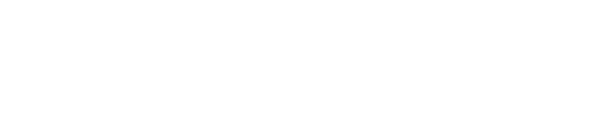 Gadget.ro logo