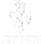 Ferrari logo