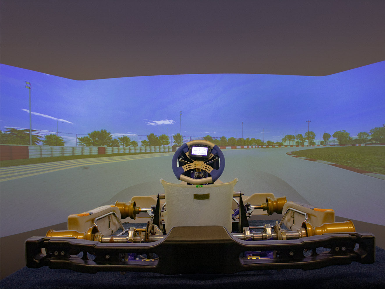 Professional-grade bespoke racing kart simulator