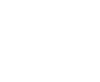 F1 Simulator Maniac logo