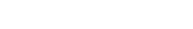 F1ingenerale logo