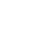 Voice Online logo